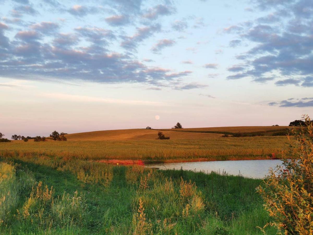 Stawy U Sikory - Dom Rybak - Agroturystyka I Lowisko Nowa Wies  エクステリア 写真