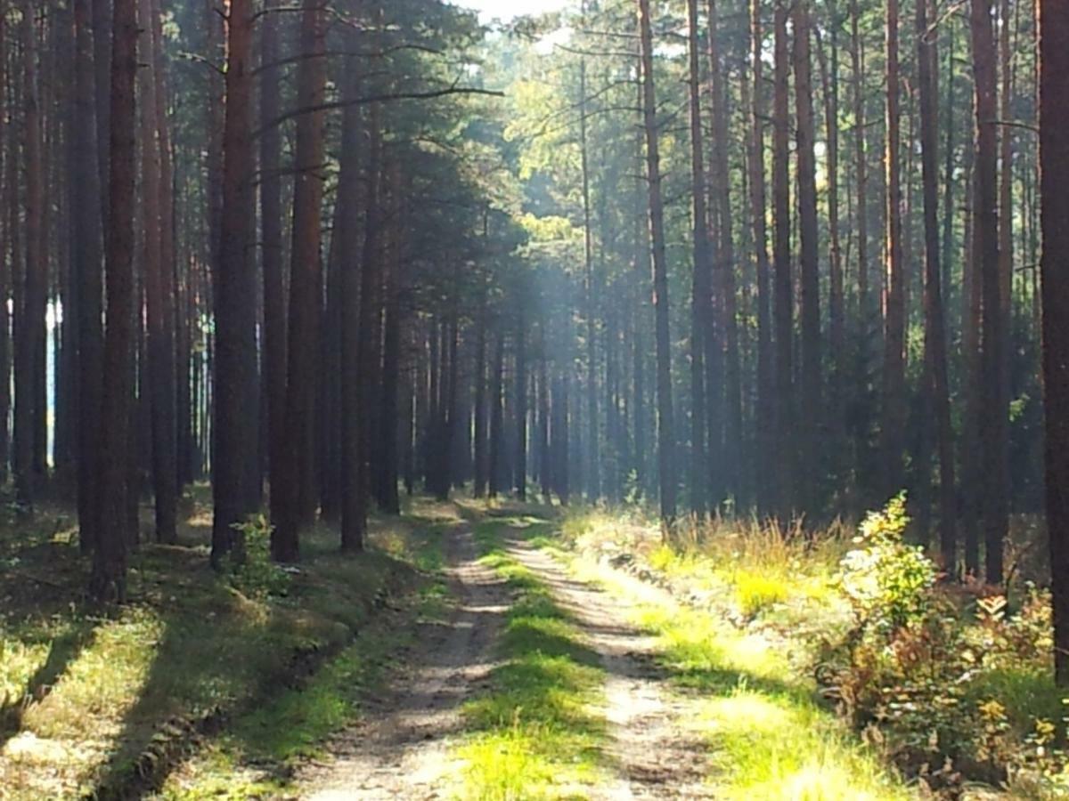 Stawy U Sikory - Dom Rybak - Agroturystyka I Lowisko Nowa Wies  エクステリア 写真